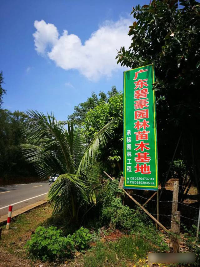 时代华商总裁49班同学走访“伟晟”海南之行走访记" width=