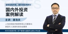 《国内外投资案例解读》