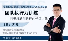 《团队执行力训练-打通战略到执行的任督二脉》-齐磊