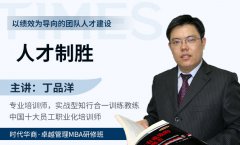 《人才制胜：以绩效为导向的团队人才建设》丁品洋